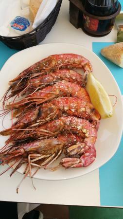 El Trasmallo de Agustino